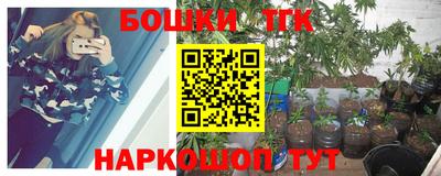 сатива Ачхой-Мартан