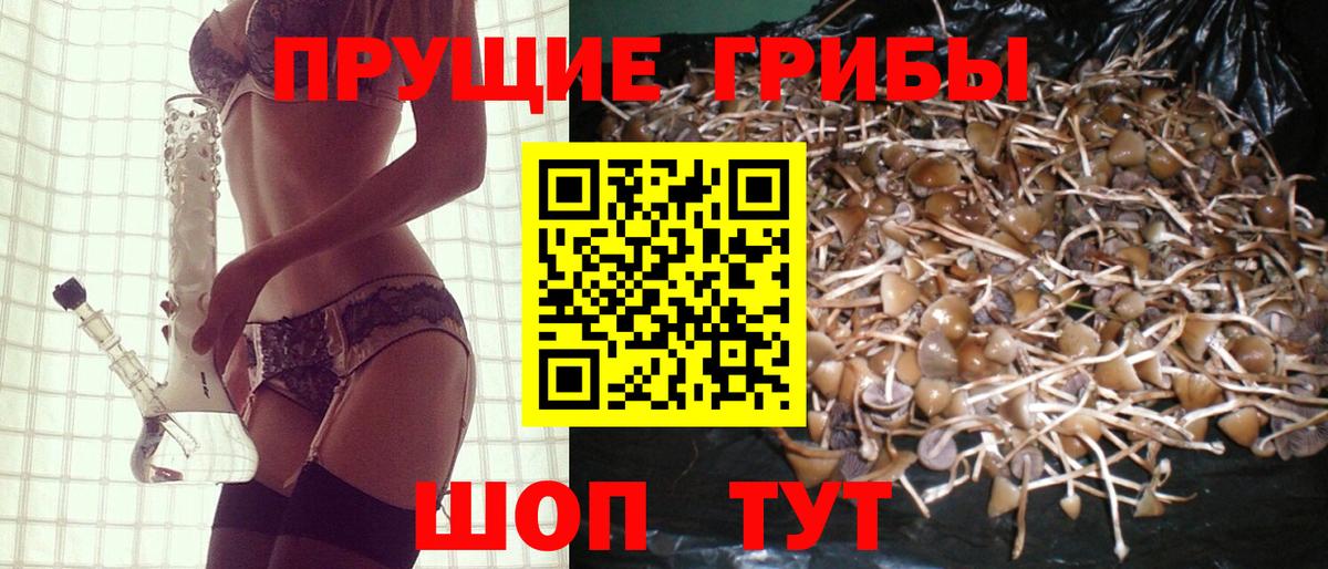Галлюциногенные грибы ЛСД Звенигород